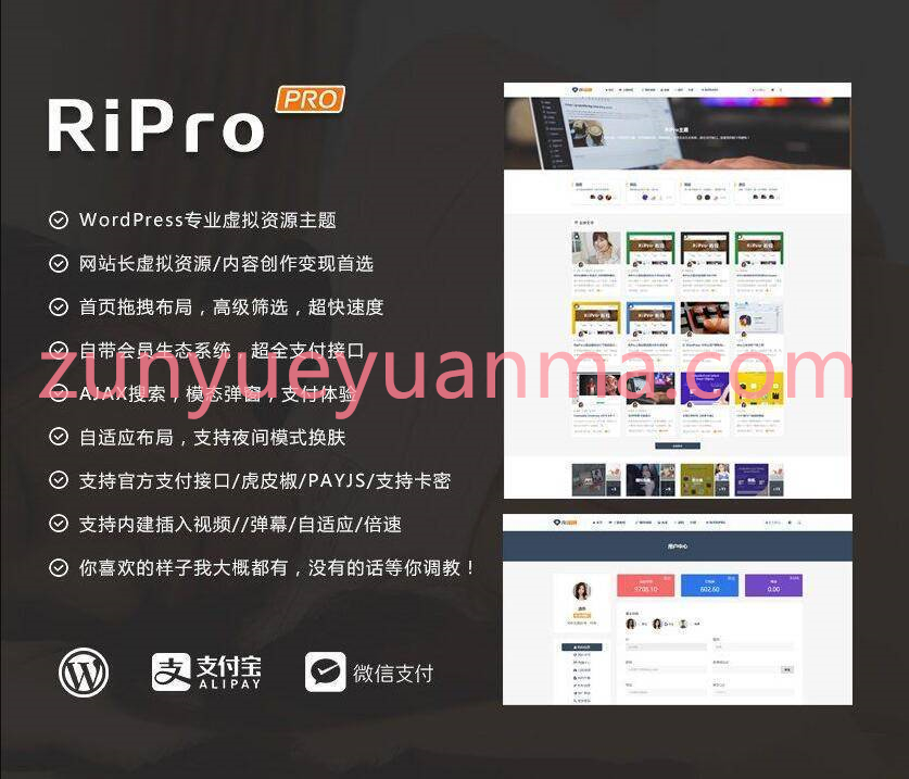 【WP主题】RiproV8.7主题去授权无限制版