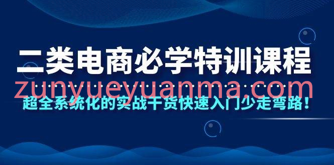 二类电商必学特训视频课 系统化的实战干货让你快速入门少走弯路