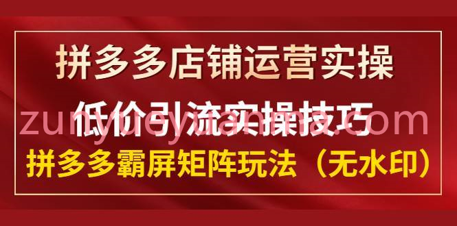 拼多多店铺运营低价引流实操技巧视频教程 拼多多霸屏矩阵玩法课程8节全