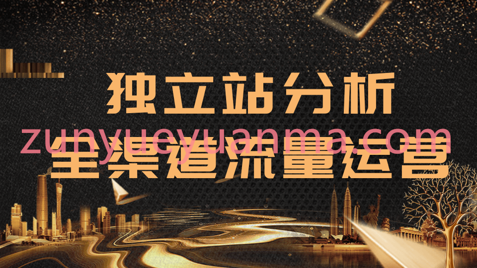 2020跨境电商最新运营视频教程 手把手教你分析运营独立站精细化流量