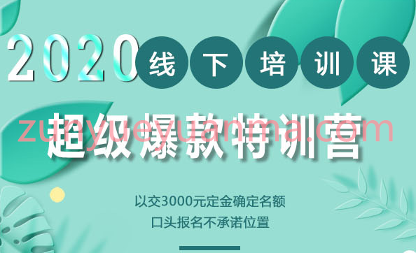 2020年线下培训第4期小黑哥超级爆款最新视频教程 报名费16800元