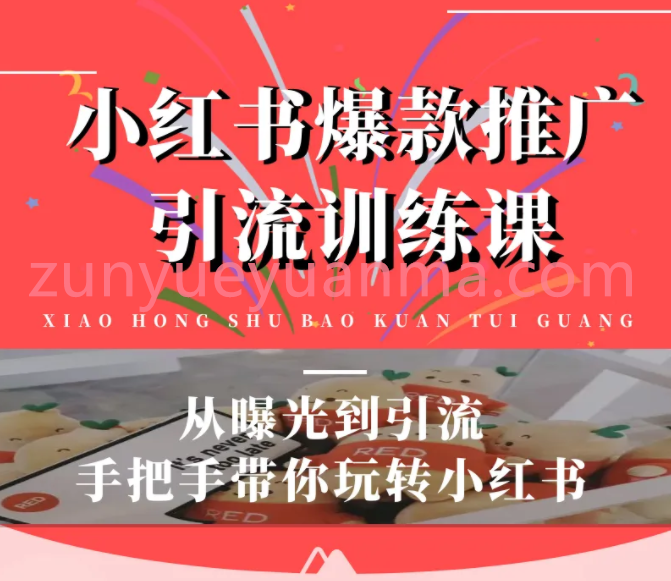 狼叔小红书爆款推广引流最新视频教程 从曝光到引流手把手带你玩转小红书完结版