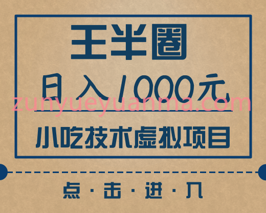 王半圈最新虚拟项目视频教程 日入1000小吃技术虚拟项目+快手豆瓣闲鱼快速引流变现