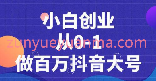 蛋解创业从0到1做百万大号抖音短视频最新视频教程 爆款产品内容千万级别的曝光详解