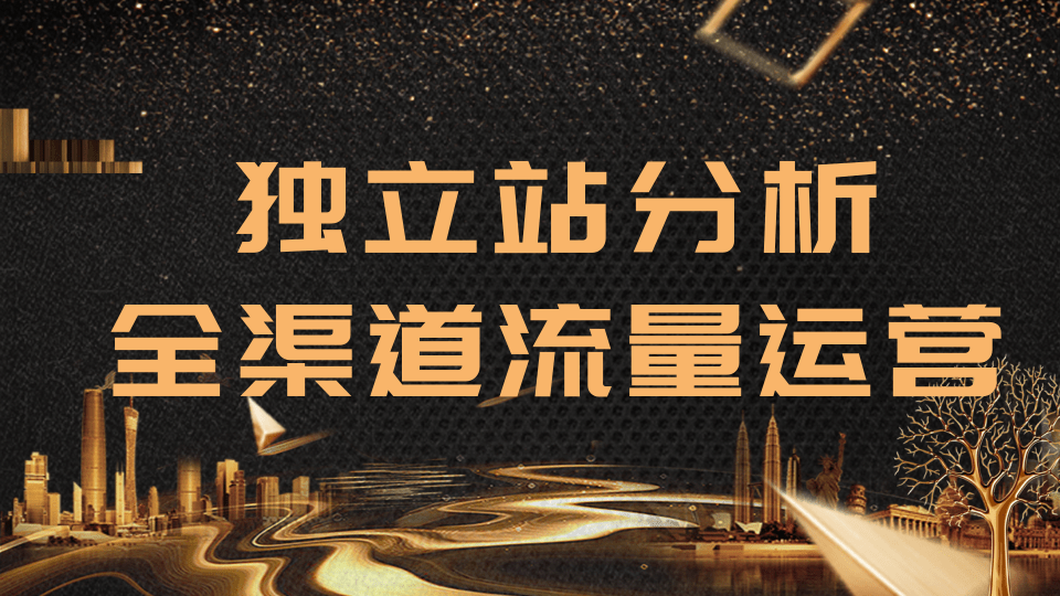 2020跨境电商最新运营教程_手把手教你分析运营独立站精细化流量