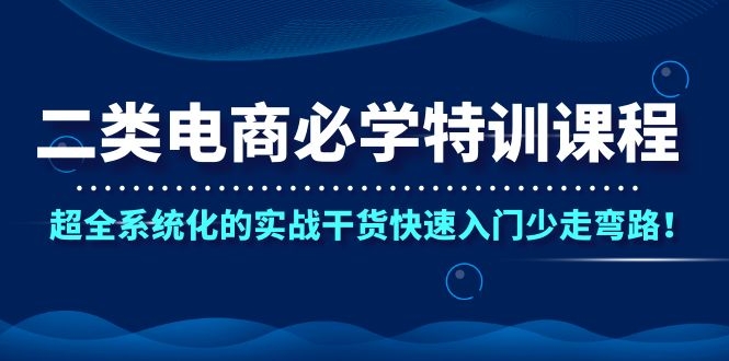 二类电商必学特训课程，超全系统化的实战干货快速入门少走弯路！