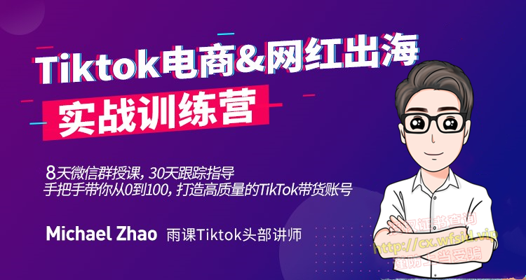 Tiktok电商&网红出海实战训练营