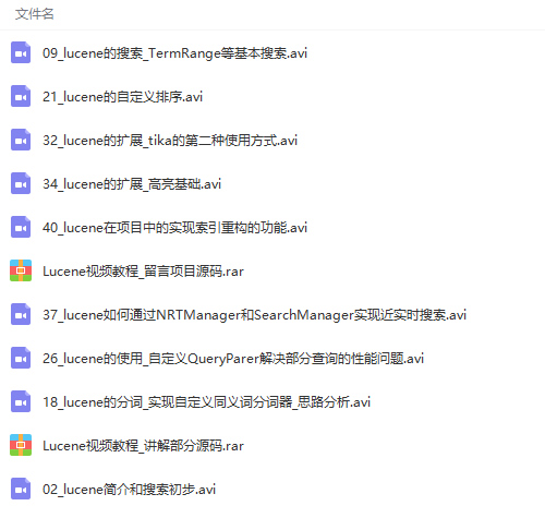 Lucene全文检索引擎架构零基础入门到实战视频教程