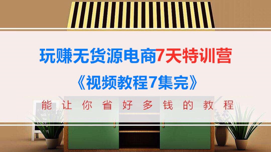 玩赚淘宝京东拼多多无货源电商7天训练营