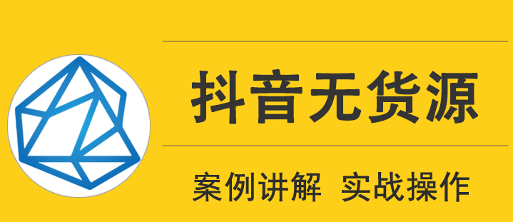 顽石电商低投入高回报抖音无货源实战教程