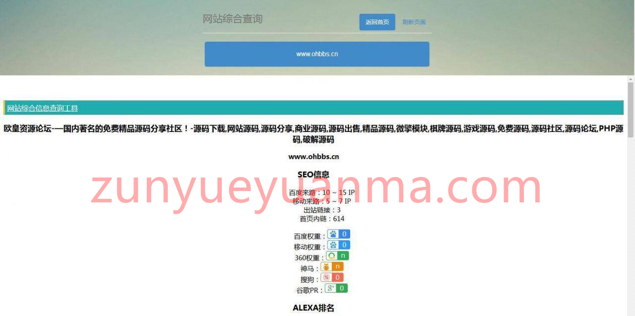 P20 网站站长综合seo查询工具源码