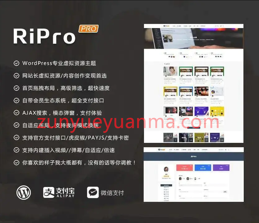 C225 wordpress主题_WordPress主题ripro8.7日主题去除授权版