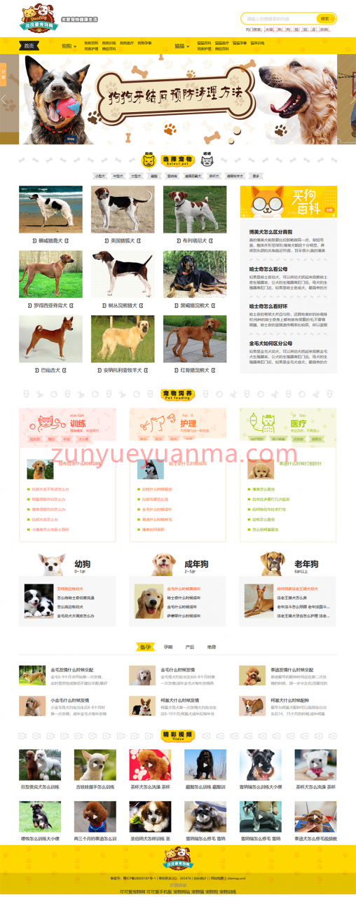 帝国CMS内核宠物资讯平台网站源码PC版+手机移动版