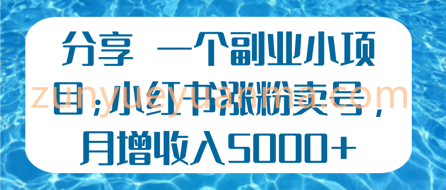 一个副业小项目；小红书涨粉卖号，月增收入5000+【视频教程】