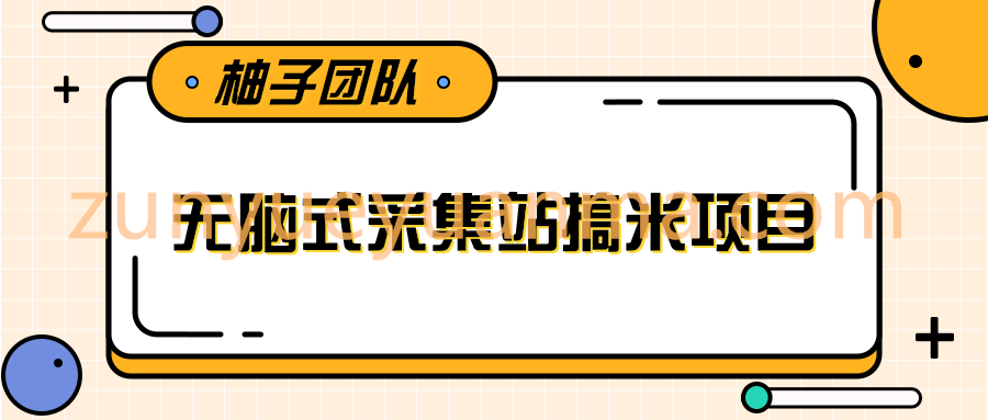 无脑式采集站搞米项目，零基础可批量实现年入百万