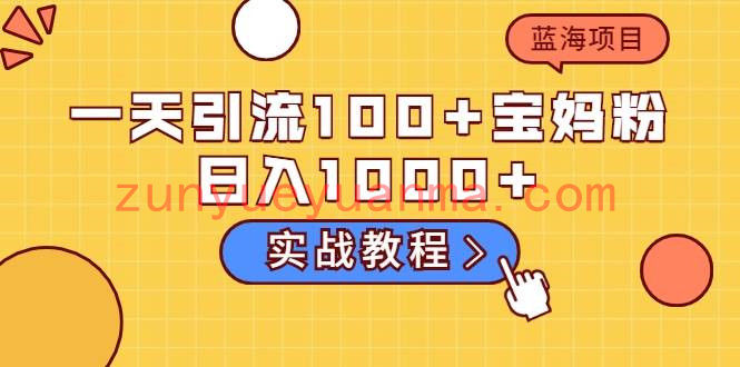 一天引流100+宝妈粉，日入1000+马上持续变现 蓝海项目（视频教程）