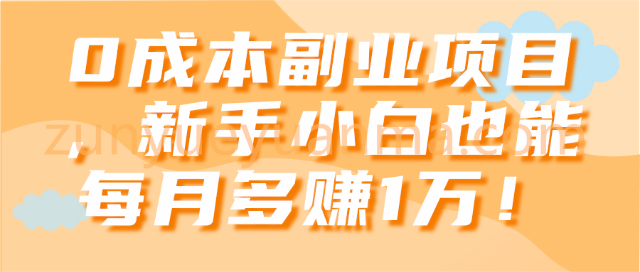 0成本副业项目，新手小白也能每月多赚1万！【视频教程】