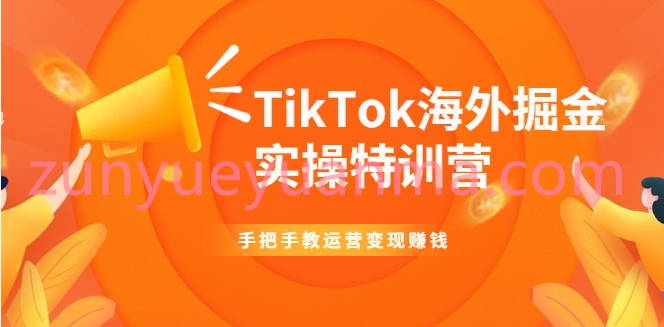 TikTok海外掘金实操特训营：手把手教运营变现赚钱