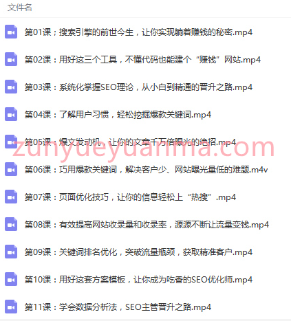 零基础学SEO引爆流量躺赚 SEO视频教程