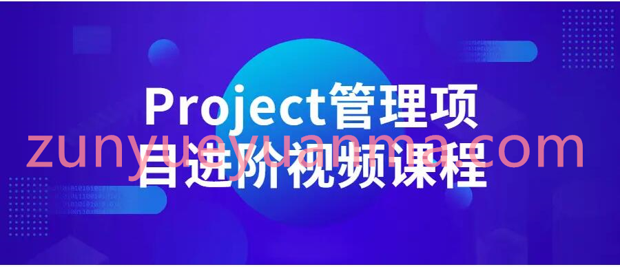 Project管理项目进阶视频课程