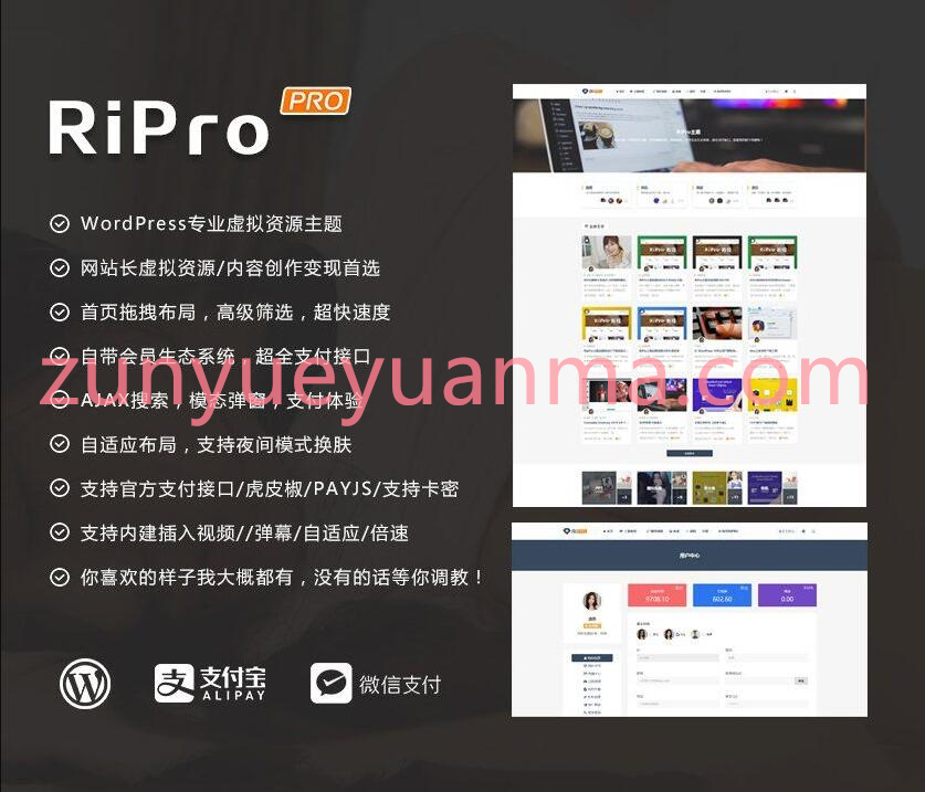 【修复优化版】WordPress主题RiPro v8.6 无限制版