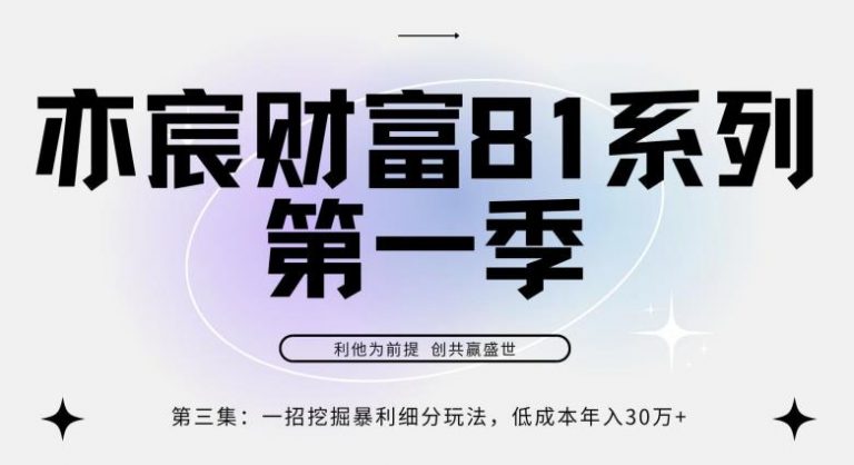 亦宸财富81系列第1季第3集：一招挖掘细分暴利玩法，低成本年入30w